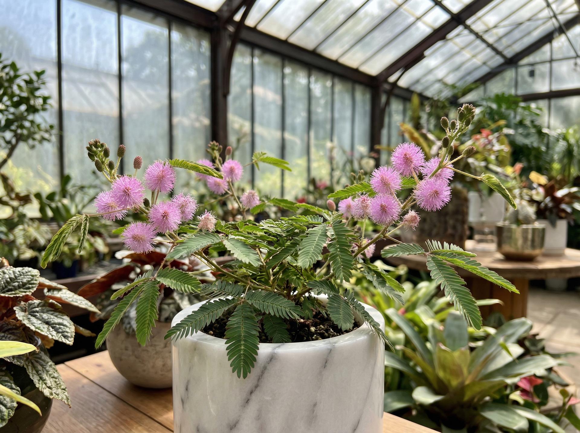 网红主播热门视频